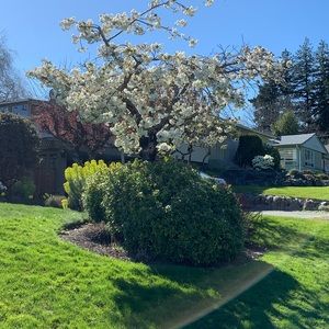 Meet your Posher, Ashlee